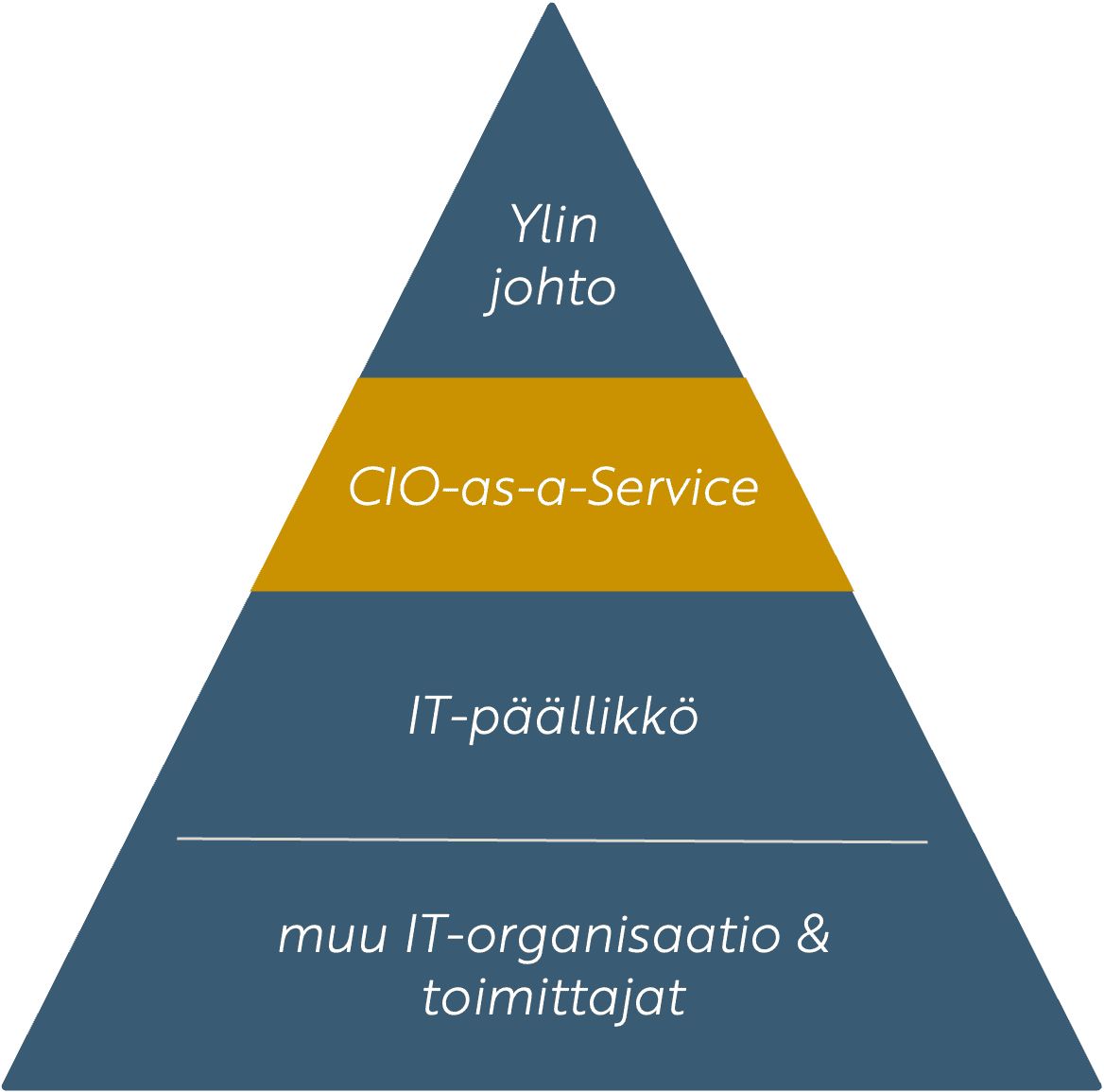 Jokainen organisaatio tarvitsee ainakin osa-aikaisen CIO:n